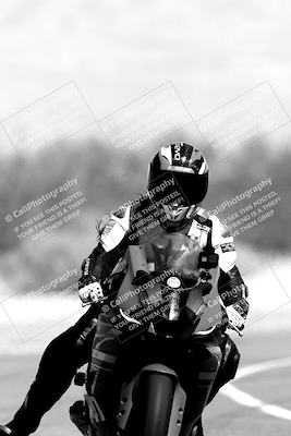 media/Mar-12-2022-SoCal Trackdays (Sat) [[152081554b]]/Track Exit (For Lunch)/